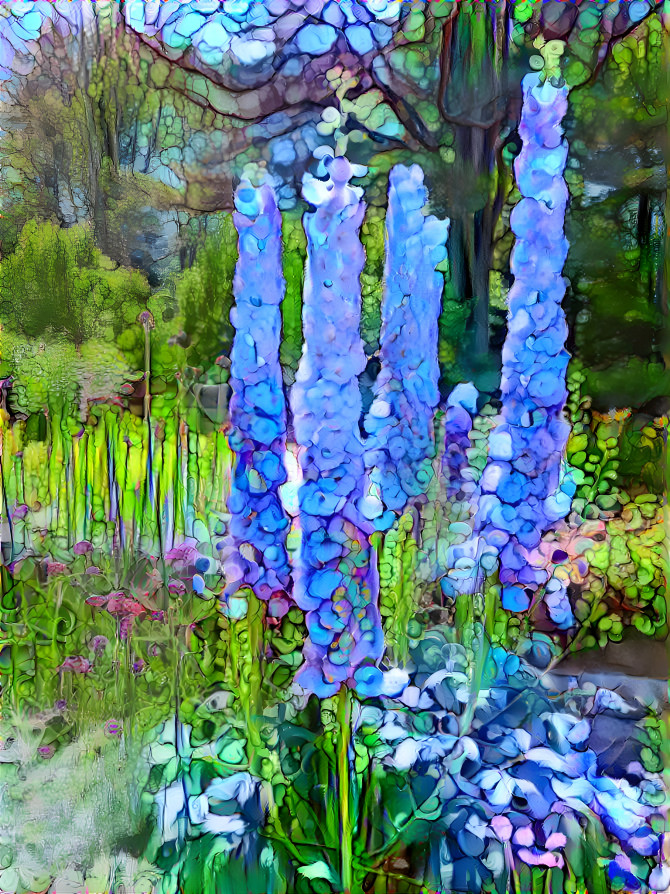 delphinium