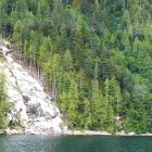 Lush forest painting with conifer trees and waterfall