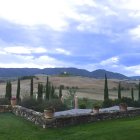 Rural landscape painting with rolling hills and cypress trees