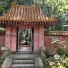 Vibrant flora in whimsical forest with arched doorway