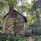 Vibrant illustration of log cabin in dense forest with moss-covered roof.