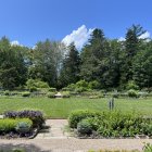 Stylized garden with geometric plant patterns under blue sky