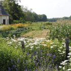 Tranquil rural scene with meadows, path, and cottages