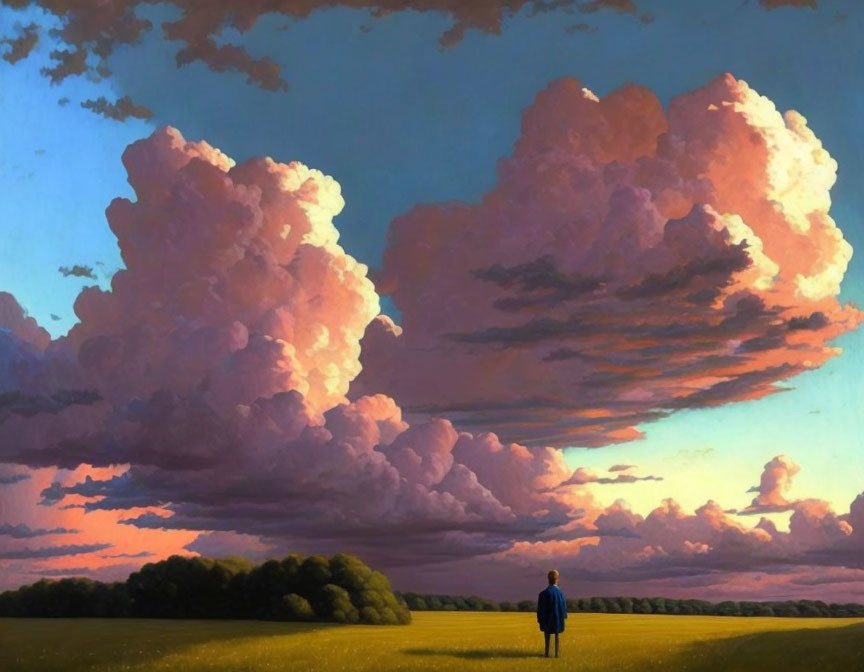 Person standing in field at sunset with pink and orange clouds in deep blue sky