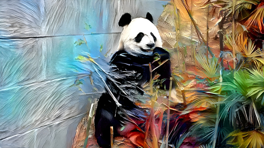 Panda