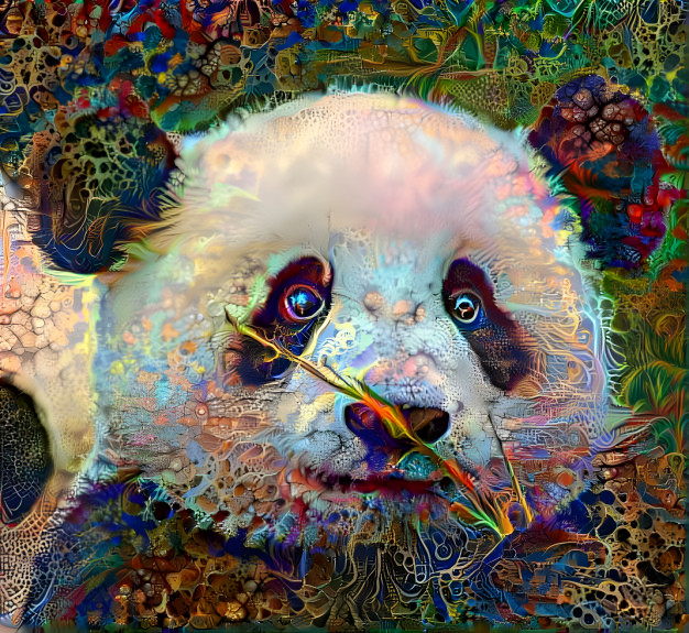 panda