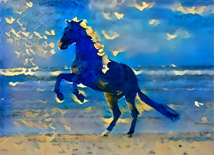 CHEVAL A LA PLAGE