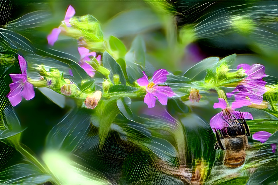 Heather Pollination