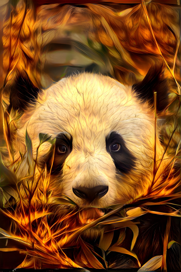 Golden Panda