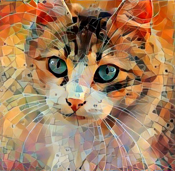 Kitty art