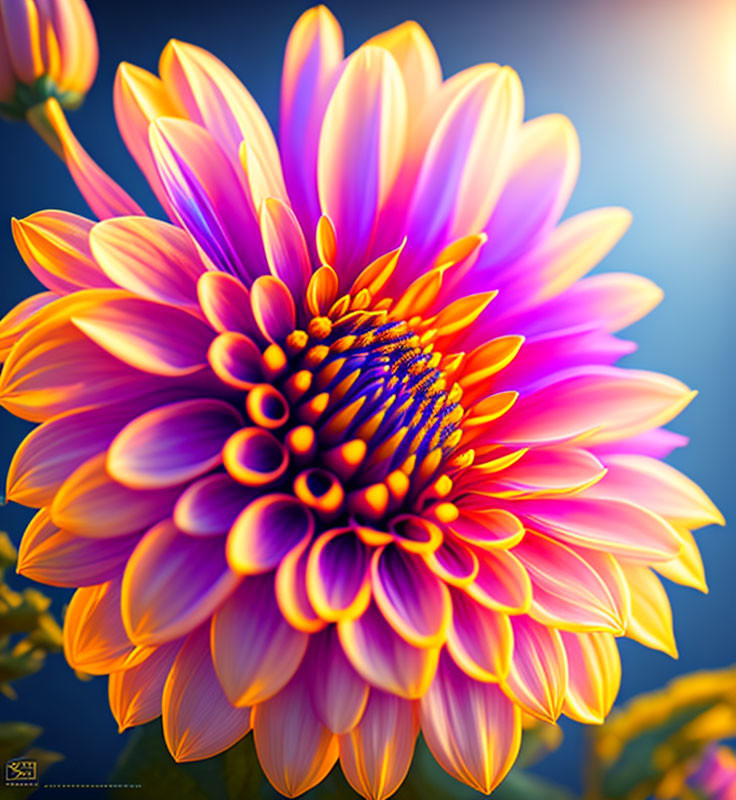 Digitally-rendered vibrant flower with purple and yellow petals on dark background