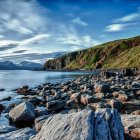 Colorful Coastal Landscape with Wildflowers, Green Cliffs, and Ocean View