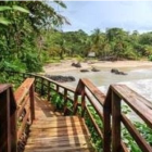 Tranquil wooden walkway through lush greenery to serene beach