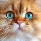 Close-Up of Orange Tabby Cat with Green Eyes and Detailed Fur Texture