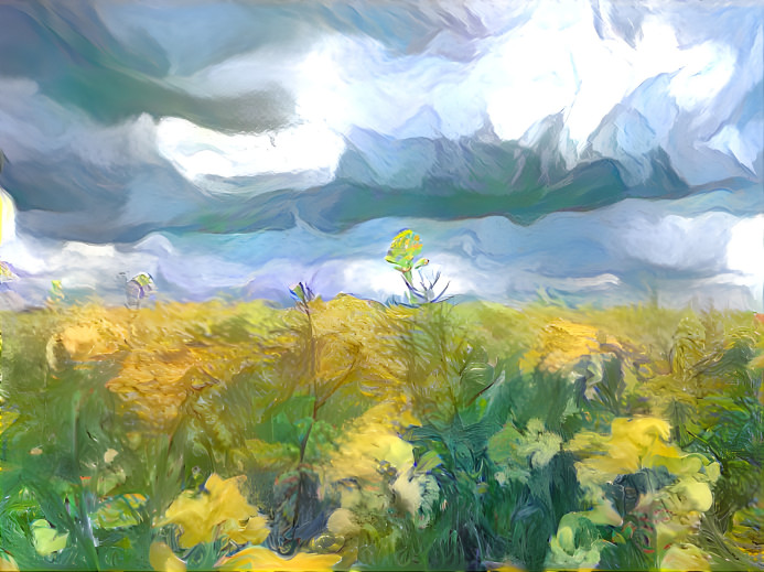 Yellow field dark clouds