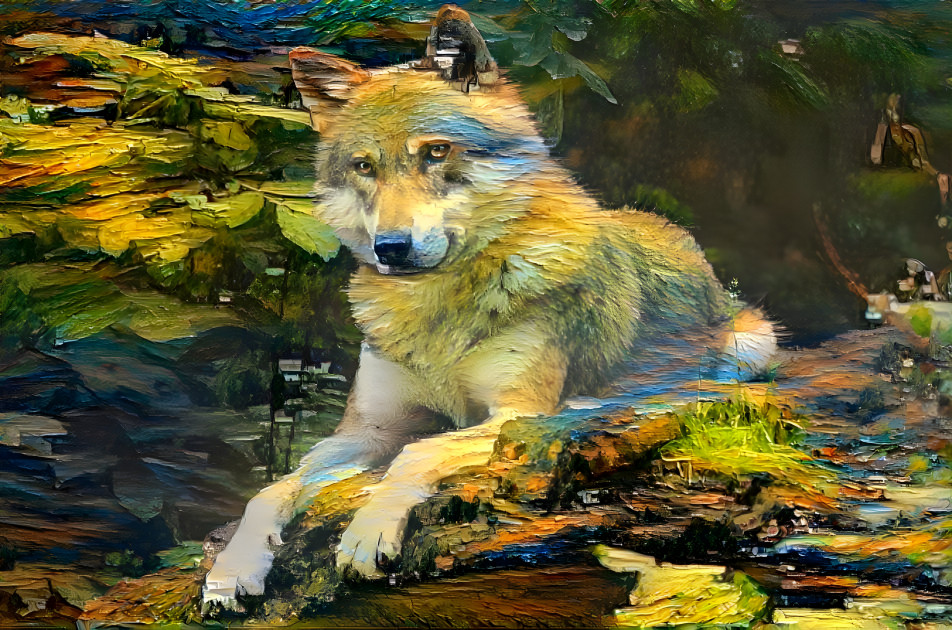 wolf