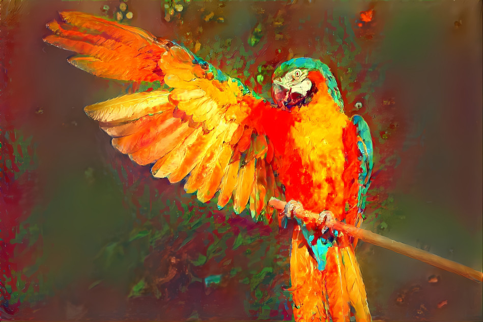 macaw