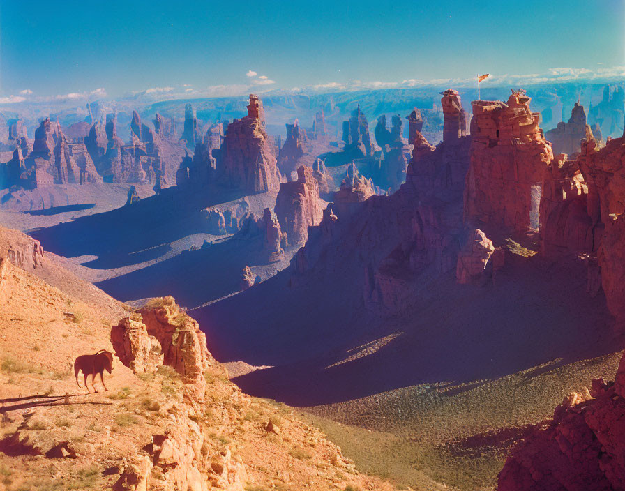 Panoramic Grand Canyon landscape with horse in foreground