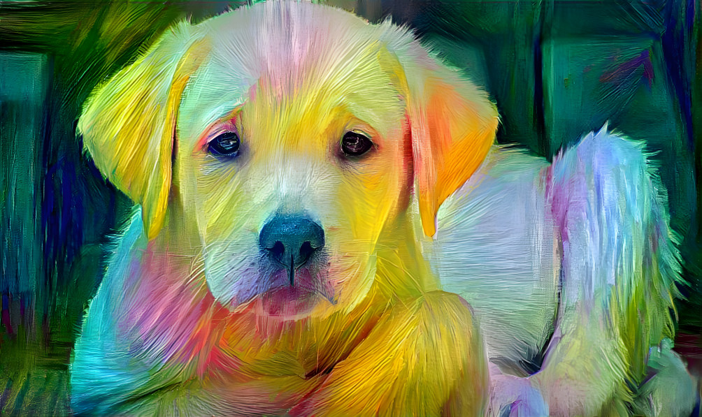 Rainbow Pup