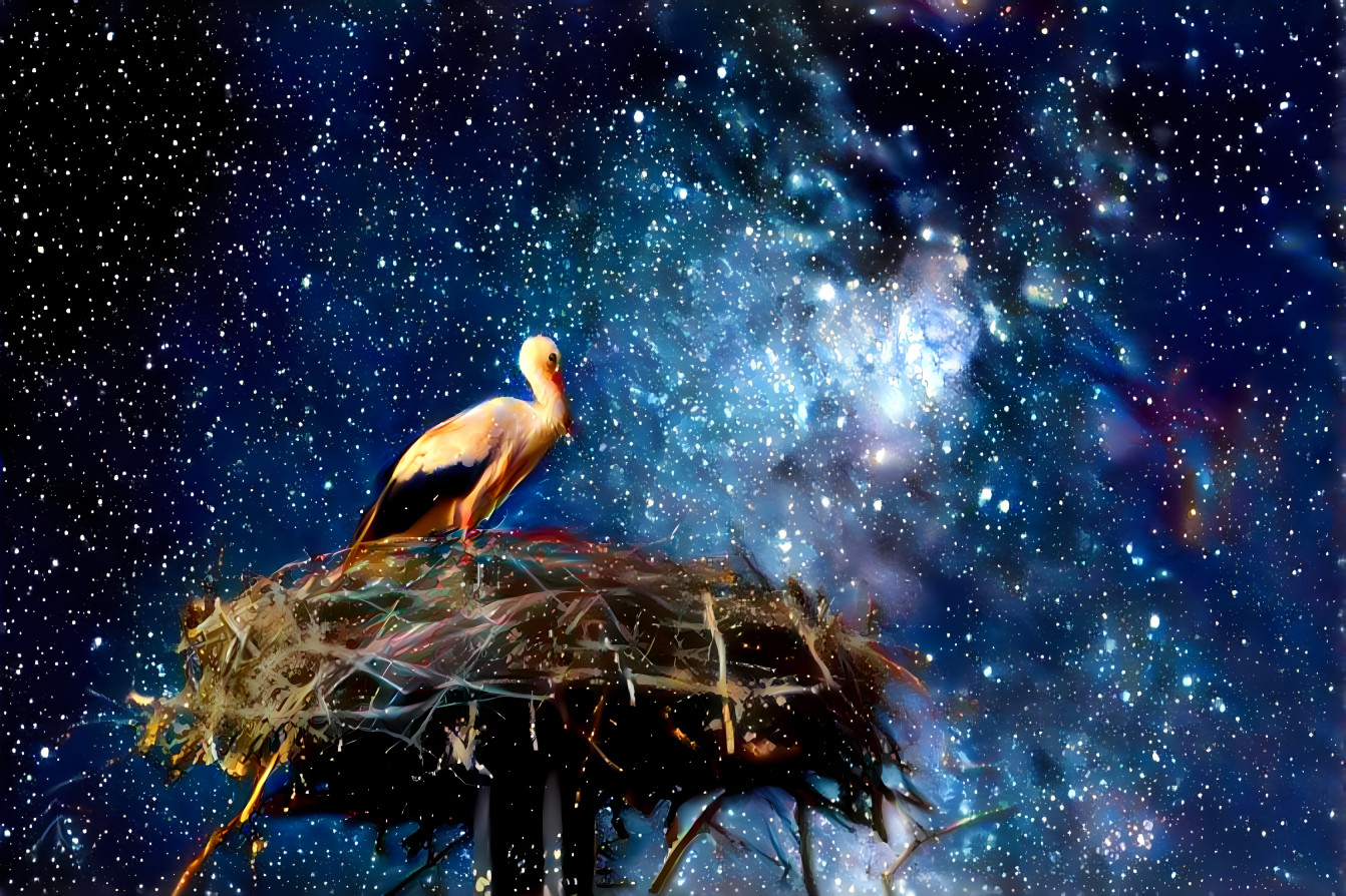 Cosmic bird