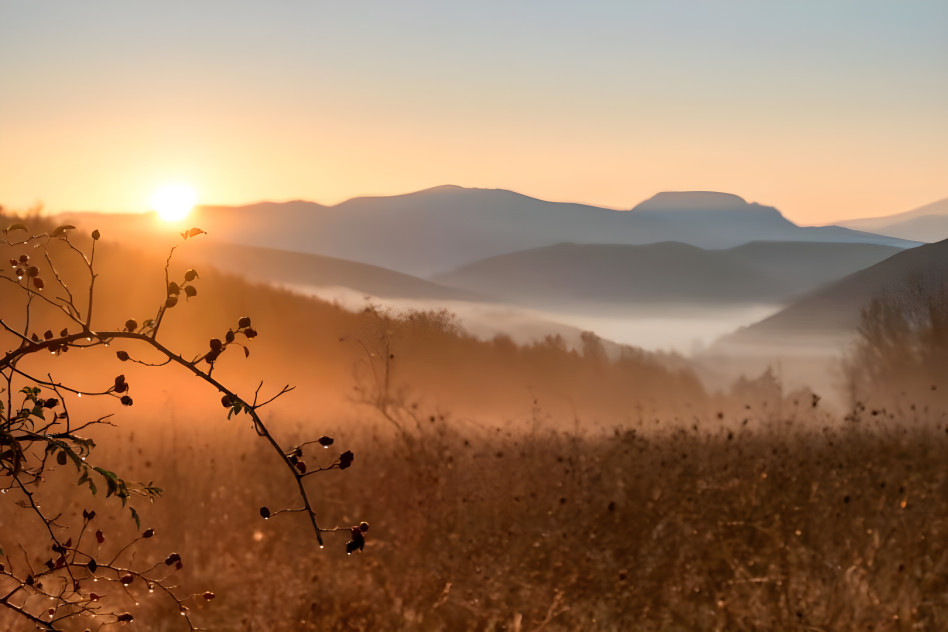 Autumn morning