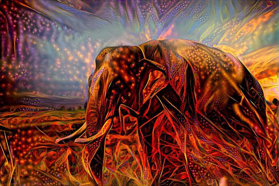 Elephant sunset