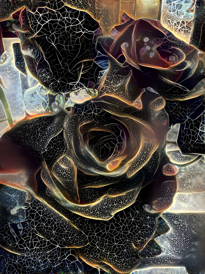 Cracked Black Roses