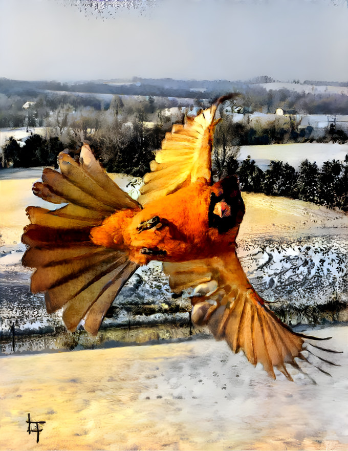 Cardinal In Flight