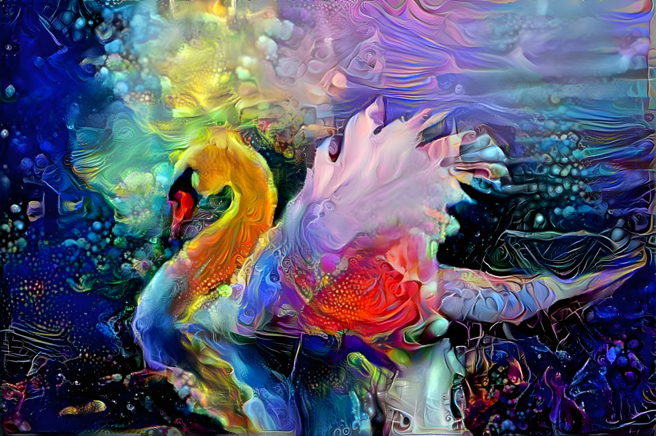 Swan of colorful dream