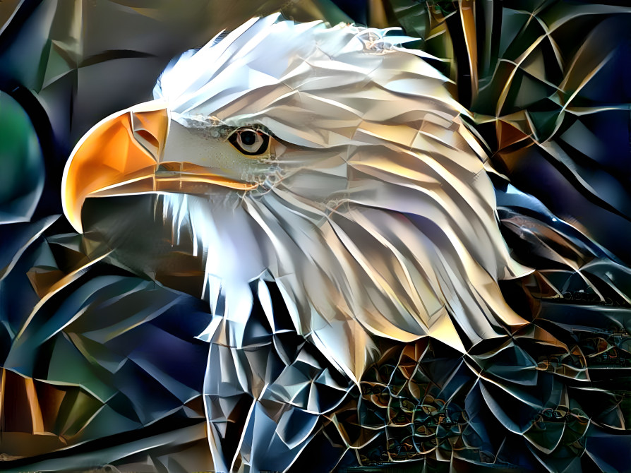 American bald eagle