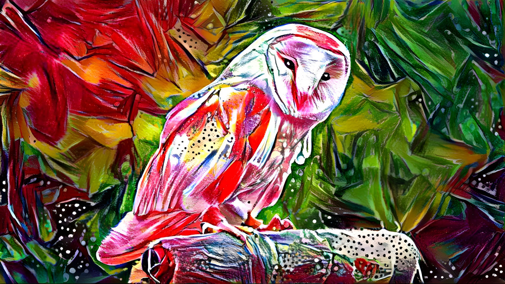 Owl