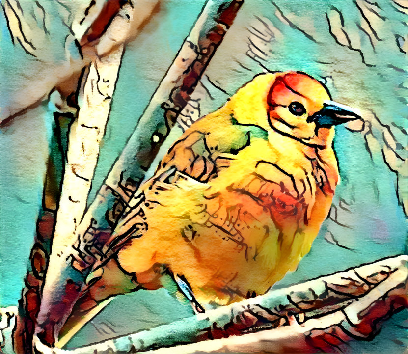 Yellow Bird