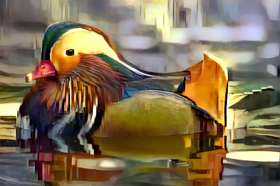 Mandarin Duck