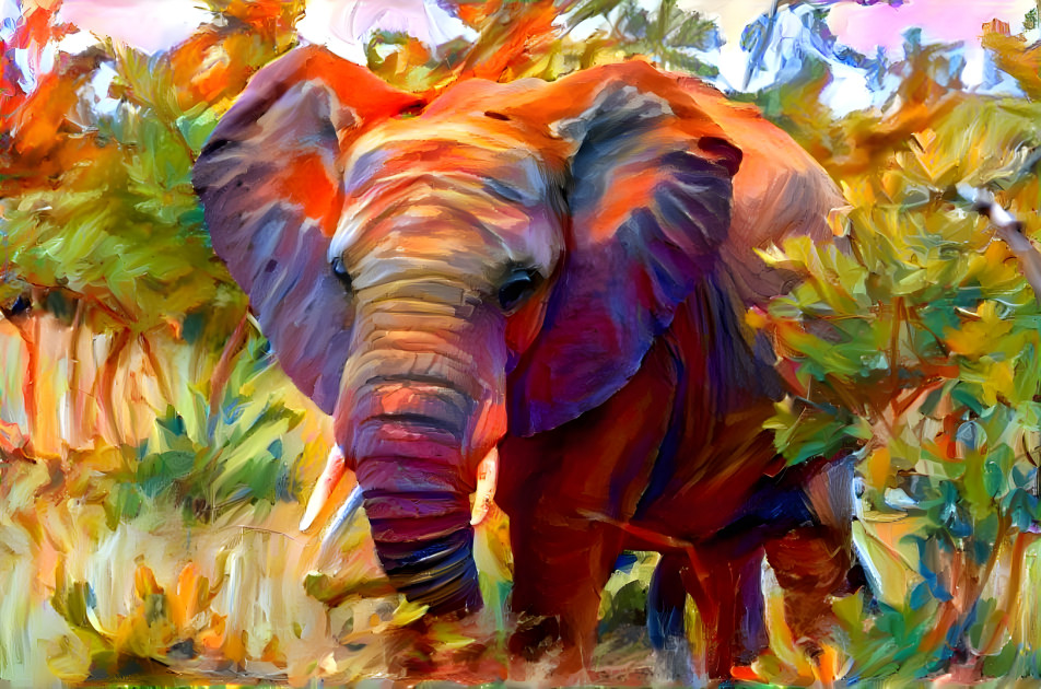 Elephant