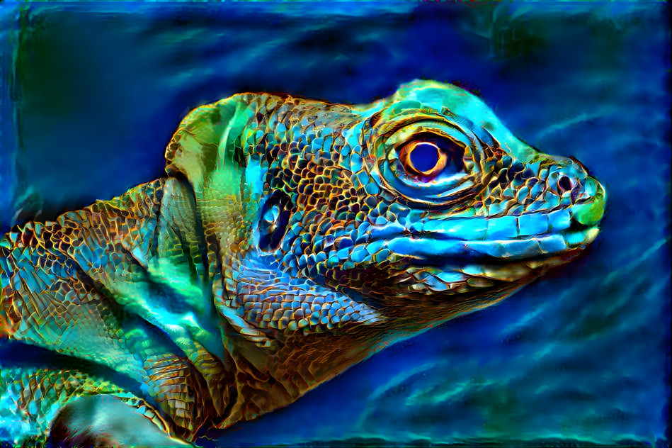 Iguana