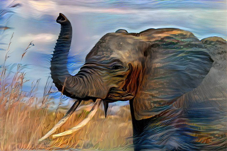 Elephant