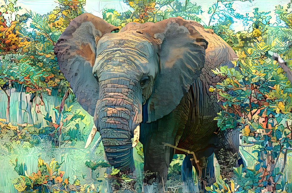 Elephant