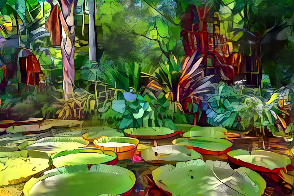 Water Lilies