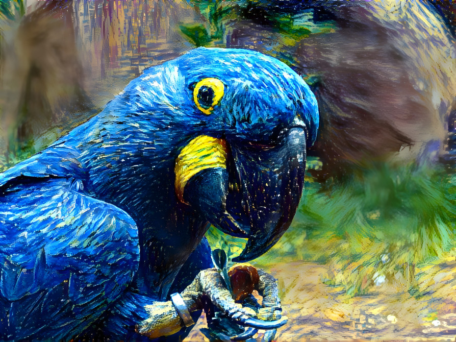 Blue Macaw