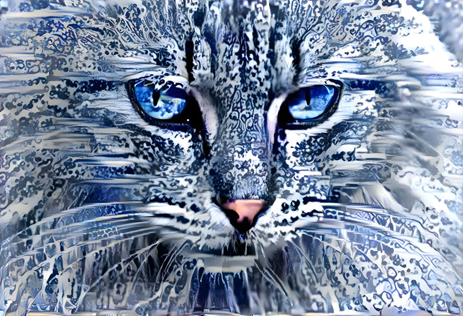 Blue Cat