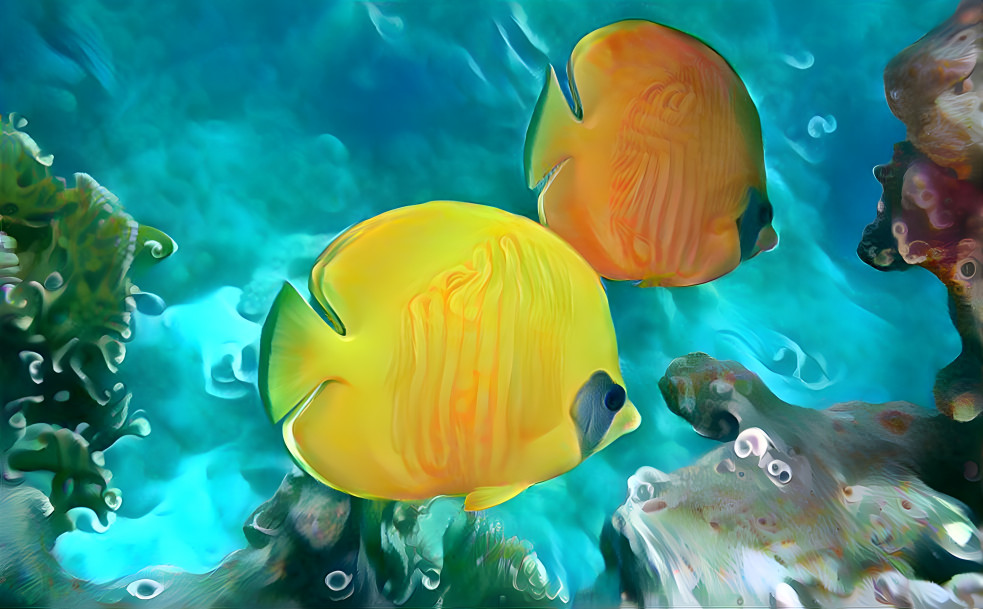 lemon-butterflyfish