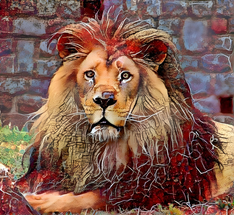 Lion