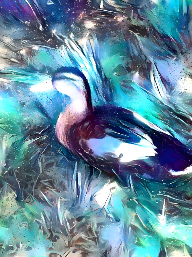 Painted Duck