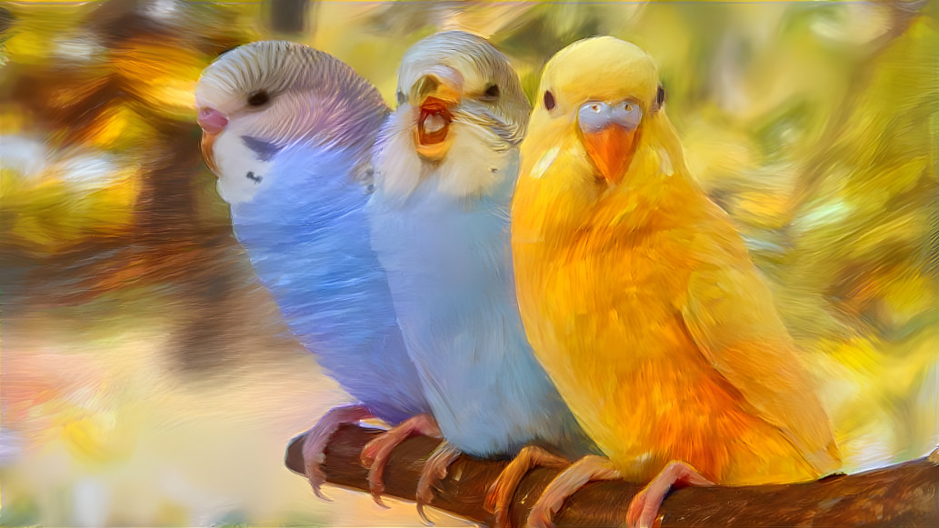 Birbs