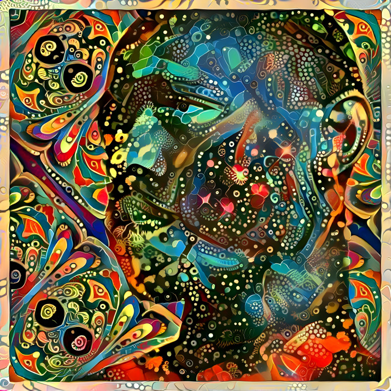 Deep dream