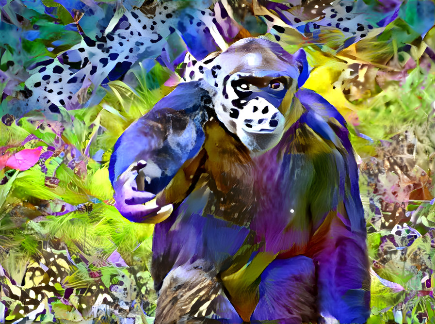 colorchimp