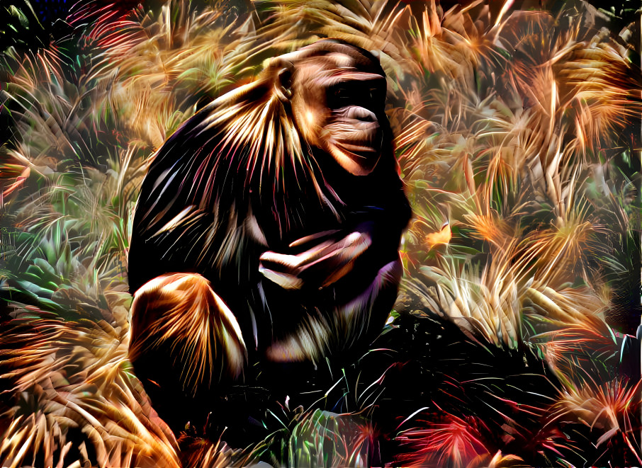 Rainbowchimp