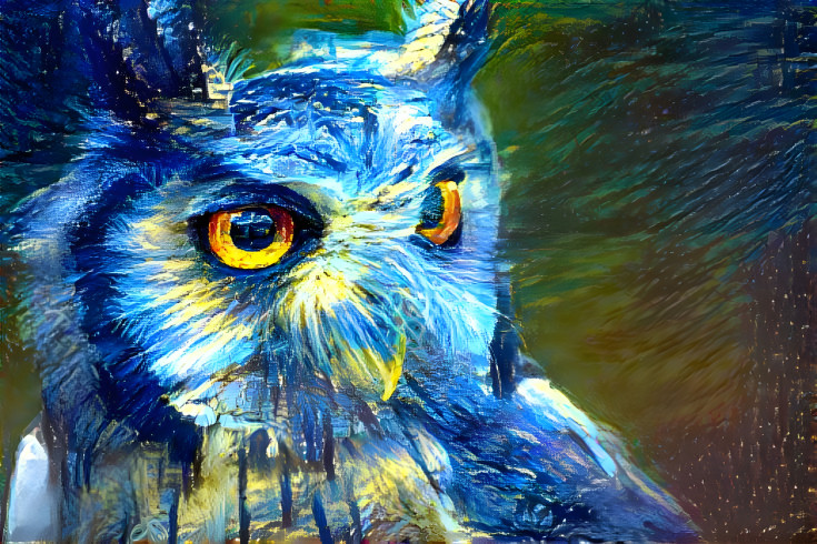 Midnight Owl