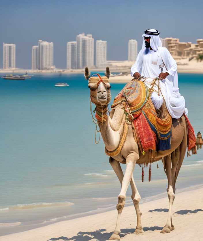 Traditional attire man on decorated camel at sandy beach with modern buildings