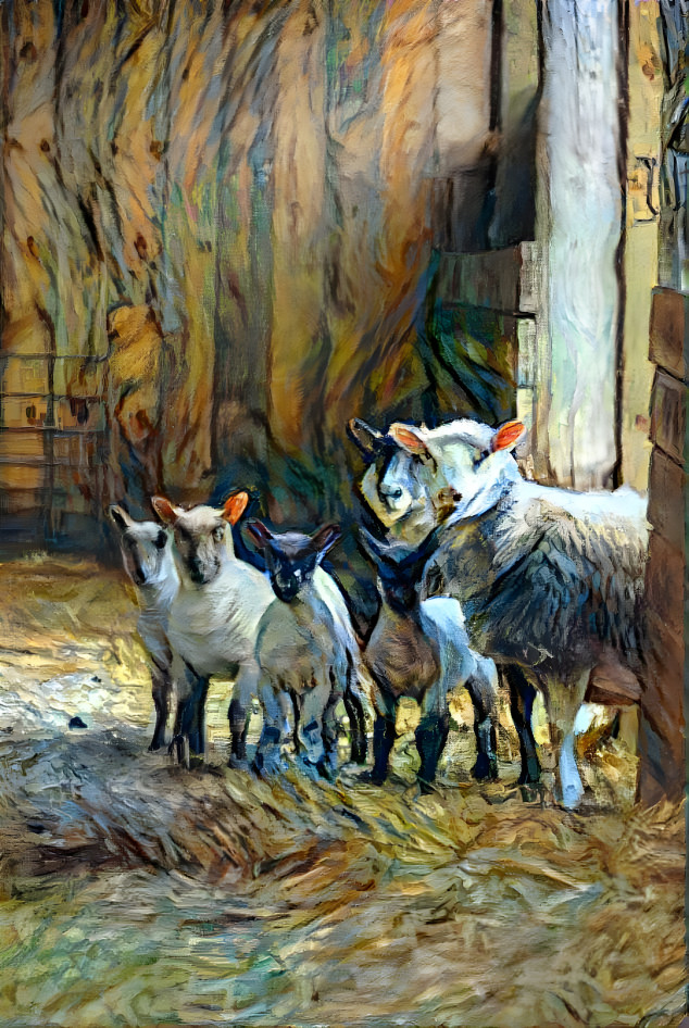 Mr. and Mrs. Sheep and Sons